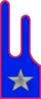 1st Signal Regiment
