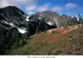 Mount Appleton