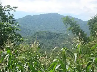Mount Banoy