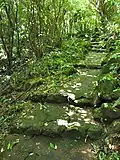 Mount Scenery Trail steps