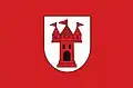 Flag of Mszczonów