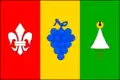 Flag of Němčičky
