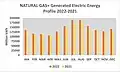 NATURAL GAS+ Generated Electronic Energy 2022–2021