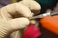 Research aspirating DNA sample from microtube