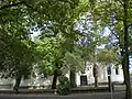 110 year-old 'Variegata' in background, to left of door, by the old church at Houten (2020)
