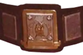 Championship belt