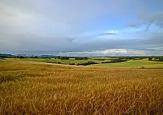 Field of Nannestad