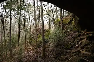 Looking outward, wintertime.