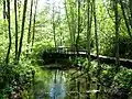 McGregor Park nature trails.