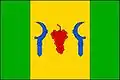Flag of Nechvalín