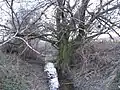 The brook at its source