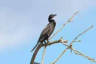 In Costa Rica