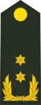 Generaal-majoor (Royal Netherlands Army)[48]
