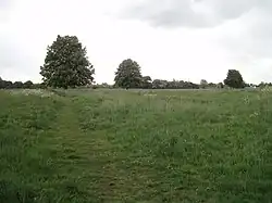 New Buckenham Common