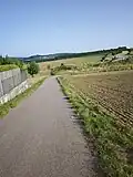Footpath next to a field