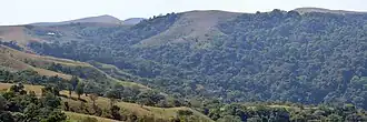 Ngel Nyaki Forest Reserve, Mambilla Plateau, 2012