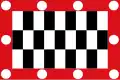 Flag of Nijeveen