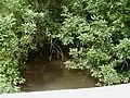 Nine Mile Run crossing Claremont Road
