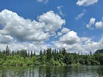 Shoreline