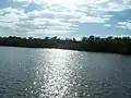 View of the mangrove-lined estuary
