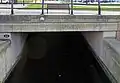 Northern portal of St Nicholas tunnel in Princes Dock