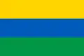 Flag of Novi Sanzhary