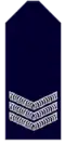 New South Wales Police Force