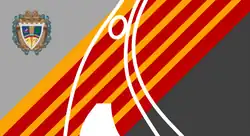 Flag of Barquisimeto, Venezuela