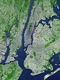 False-color satellite image