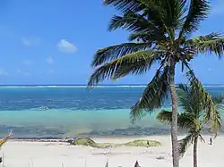 Nyali Beach on front of Voyager Hotel.