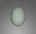 Egg