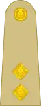 Lieutenant لیفٹنینٹ (Pakistani Army)[60]