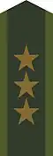 Collar patch m/58 for a captain