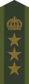 Collar patch m/58 for colonel
