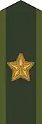 Collar patch m/58 (gold) on uniform m/58-m/59 and field uniform M90 (2000–2002)