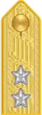 Shoulder mark on uniform m/1910 (1910–1923)