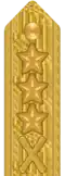 Shoulder mark on uniform m/87 (Army) (1987–present)