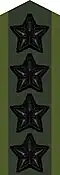 Collar patch m/58 (black m/02) on field uniform M90 (2002–present)