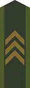 Collar patch m/58