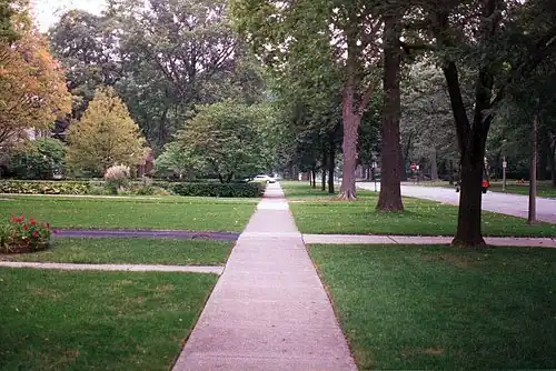 A "parkway" with street trees in Oak Park, Illinois