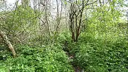 Oakleigh Way