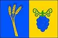 Flag of Odrovice