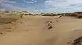 Oleshky Sands near Radensk