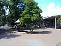 Olin Plaza