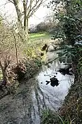 One of four springs at Nine Wells, April 2016