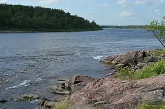 A river sparkling in the sun flows over rocks churning into whitewater. Thick forest grows down close to the water.