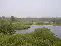 Crosscountry De Liereman in Oud-Turnhout