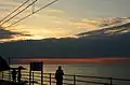 The view from train