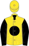 Yellow, black disc, black sleeves, yellow cap