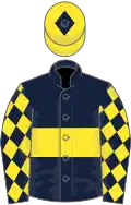 Dark blue, yellow hoop, diamonds on sleeves, yellow cap, dark blue diamond